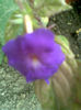 Imag018