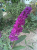 Imag021