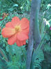 Imag022