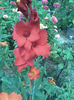 Imag023