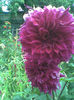 Imag024