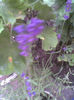 Imag025