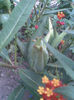 Imag027