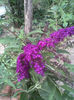 Imag028