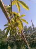 Imag029