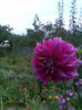 Imag033