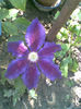 Imag034