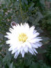 Imag036