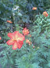 Imag037
