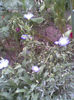 Imag038
