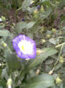 Imag039