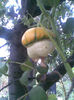 Imag040