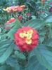 Imag042