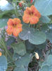 Imag045