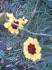 Imag046