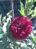 Imag047