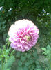 Imag049