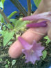 Imag051