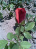 Imag055