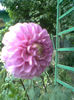 Imag057