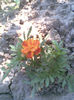 Imag058