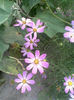 Imag059