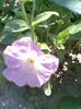 Imag061