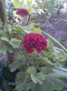 Imag064