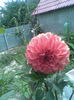 Imag069