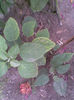 Imag070