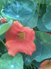 Imag074