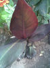 Imag077