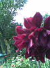 Imag080