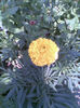 Imag085