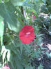 Imag087