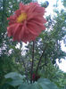 Imag088