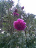Imag090