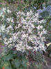 Imag092