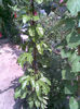 Imag093