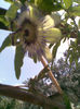 Imag094