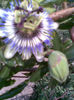 Imag095