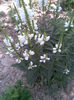 Imag096