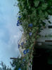 Imag104