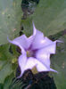 Imag228