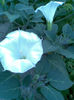 Imag255