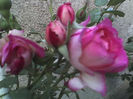 29-07-13_0613