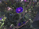 29-07-13_0754