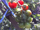 29-07-13_0846
