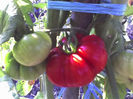 29-07-13_0847