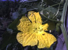 29-07-13_0849